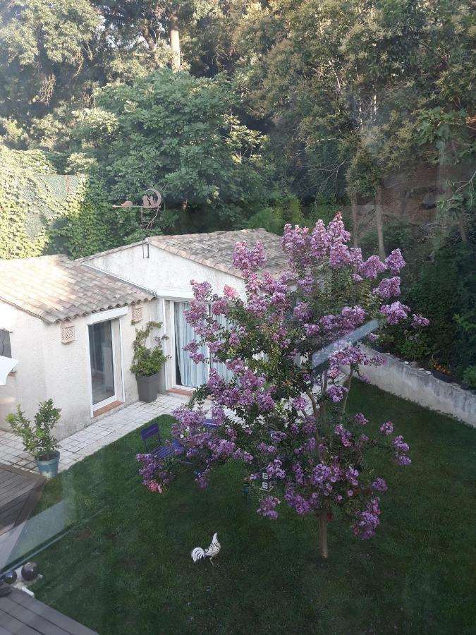 Dans Un Jardin Bb Et Jacuzzi Acomodação com café da manhã Mandelieu Exterior foto