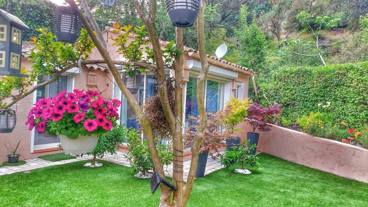 Dans Un Jardin Bb Et Jacuzzi Acomodação com café da manhã Mandelieu Exterior foto